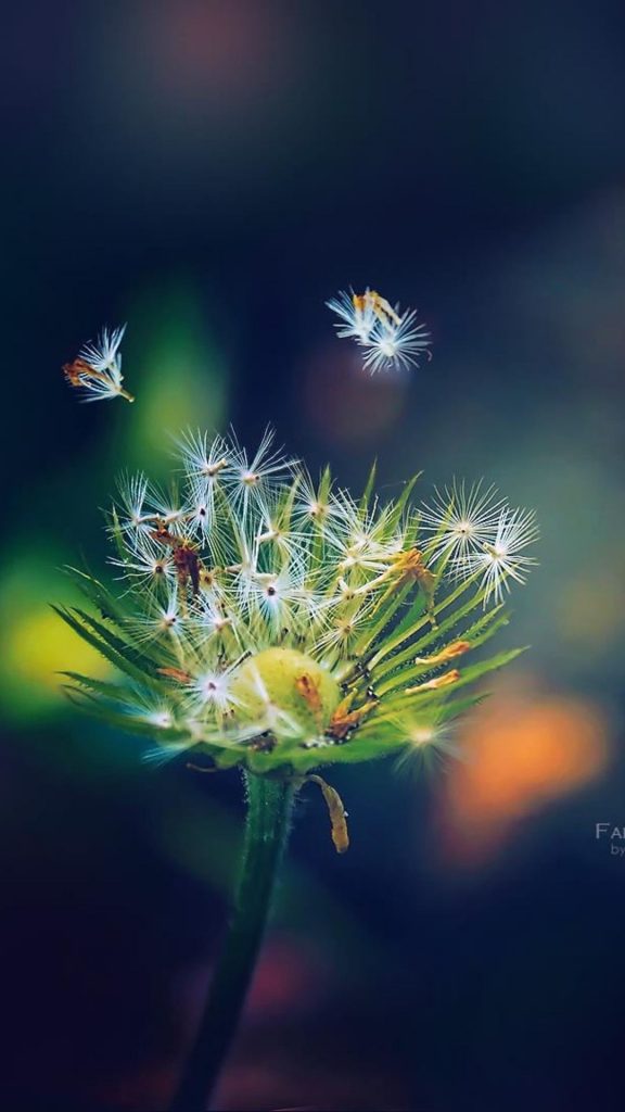 Falling Apart Lu Wallpaper - Samsung A30s Full Hd - 576x1024 Wallpaper - Falling Apart Lu Wallpaper - Samsung A30s Full Hd - 576x1024 Wallpaper -