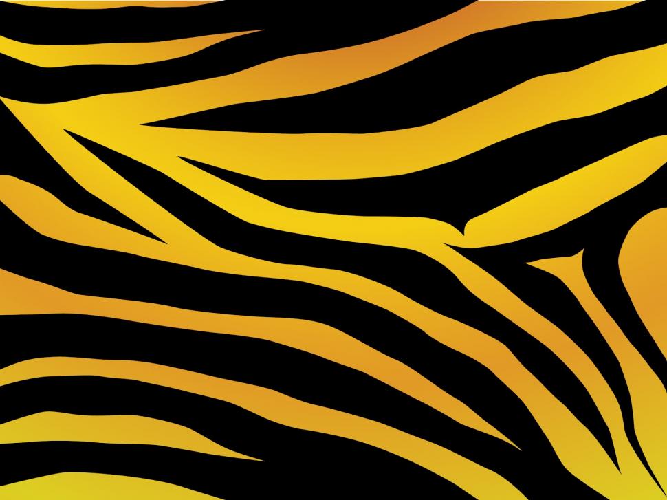 Animals, Zebra, Skin, Abstract, Lines, Yellow, Art - Zebra Design - HD Wallpaper 