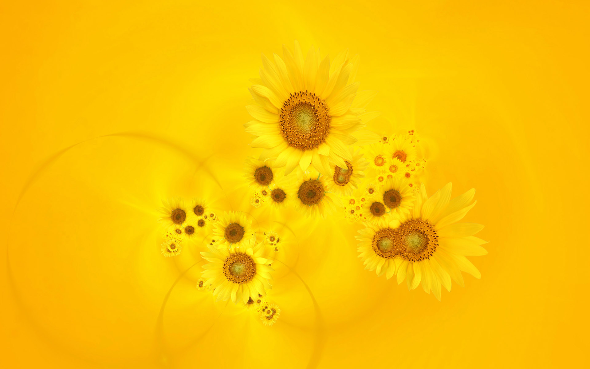 Yellow Flower Background Hd - HD Wallpaper 