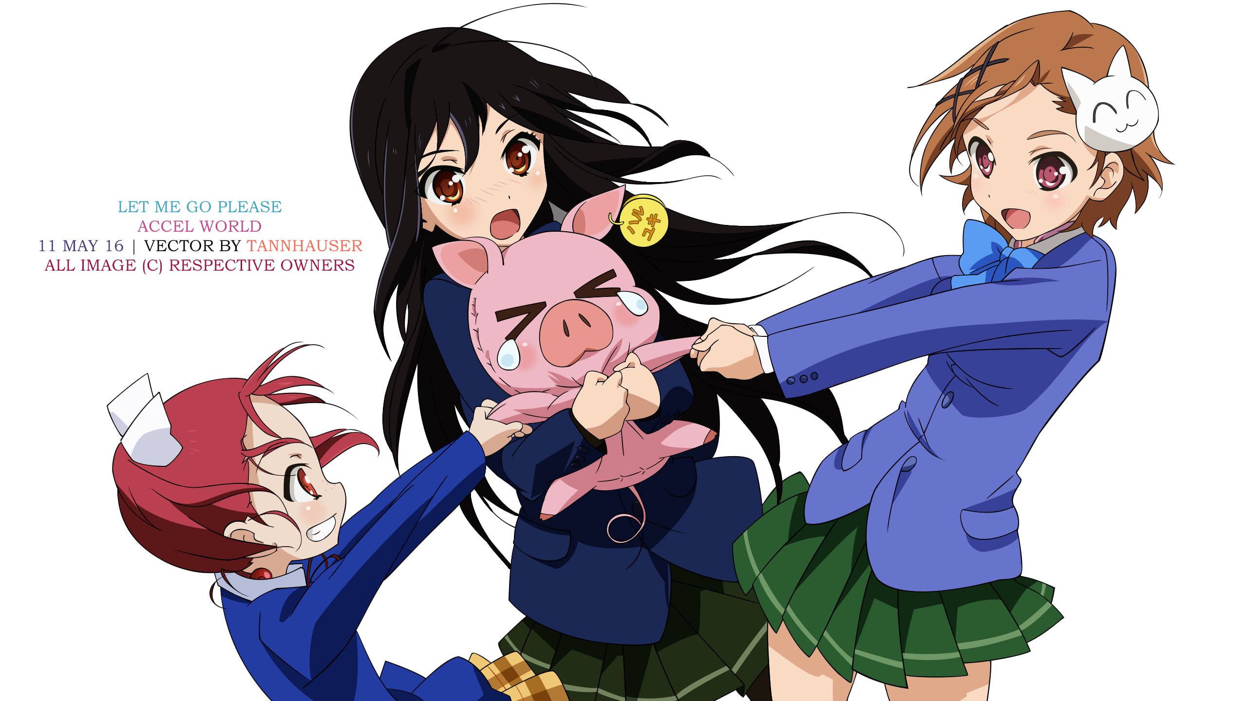 Anime Accel World - HD Wallpaper 