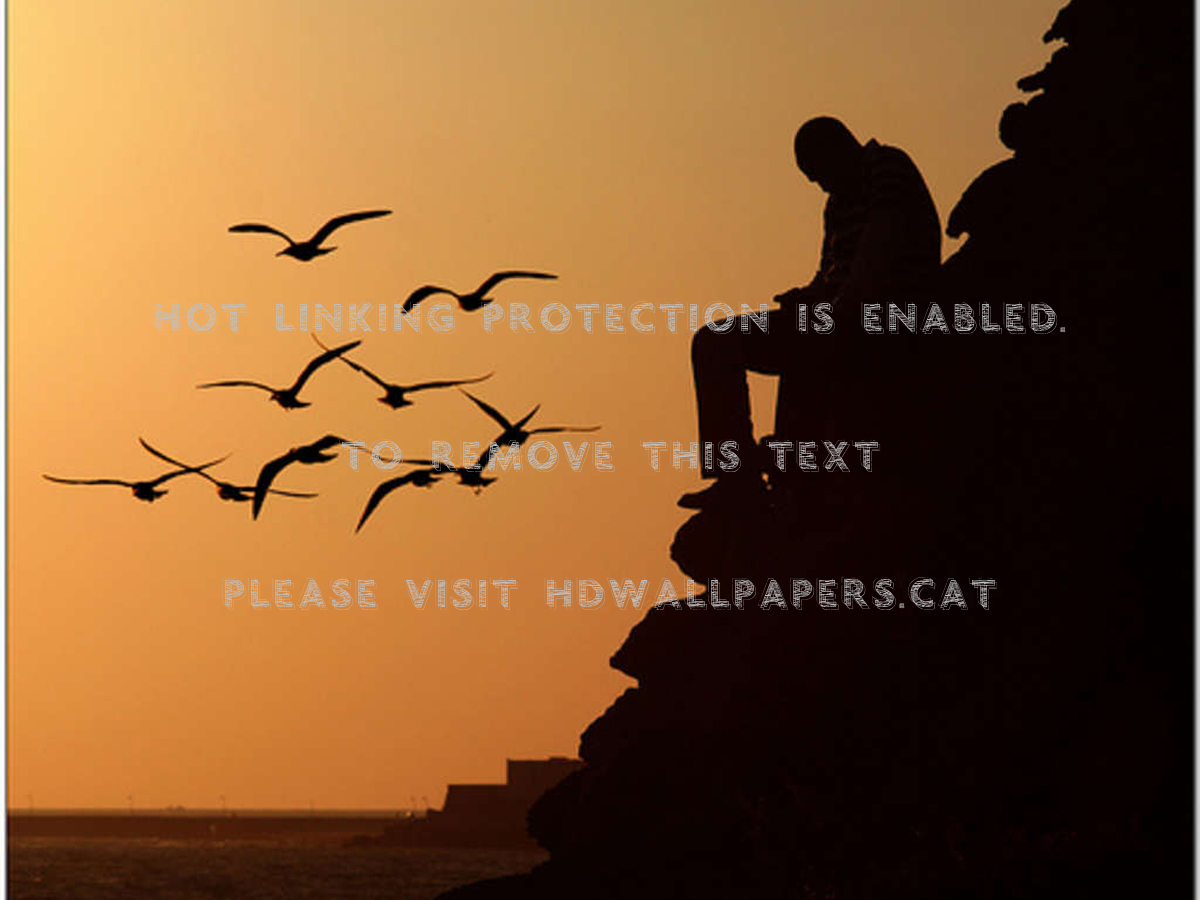 Lonely Man Sorrow Loneliness Cliff Gulls Sea - Na Koi Ranj Ka Lamha Kisi Ke Paas Aaye - HD Wallpaper 