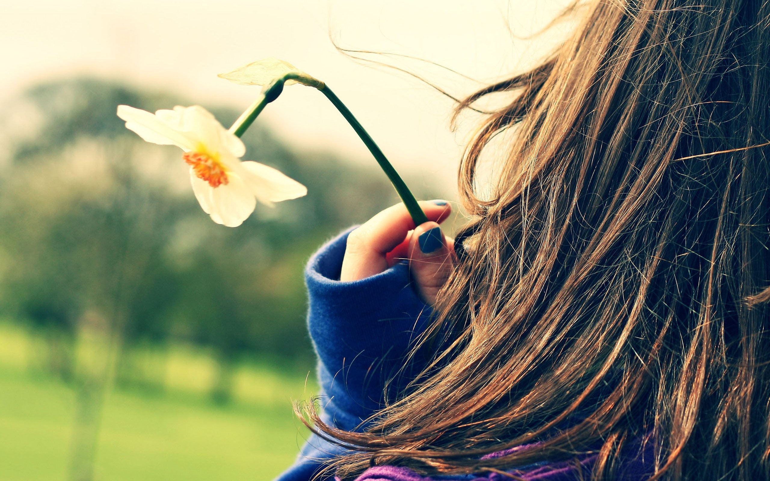Girl With Daffodil Flower - HD Wallpaper 