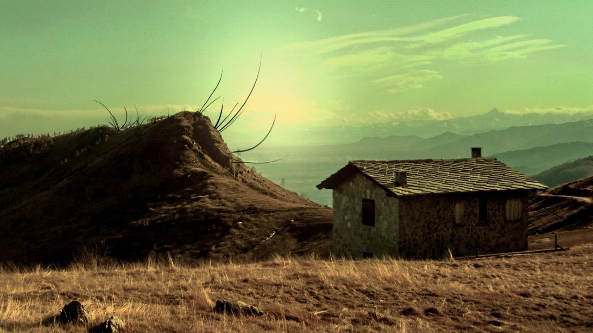 Wild Hd 
 Data Src Beautiful Wallpaper Alone Windows - Wallpaper - HD Wallpaper 