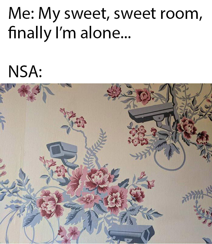 Non Suspicious - HD Wallpaper 