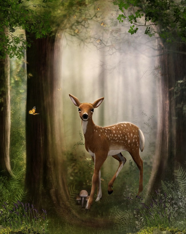 Deer In A Enchanted Forest - HD Wallpaper 