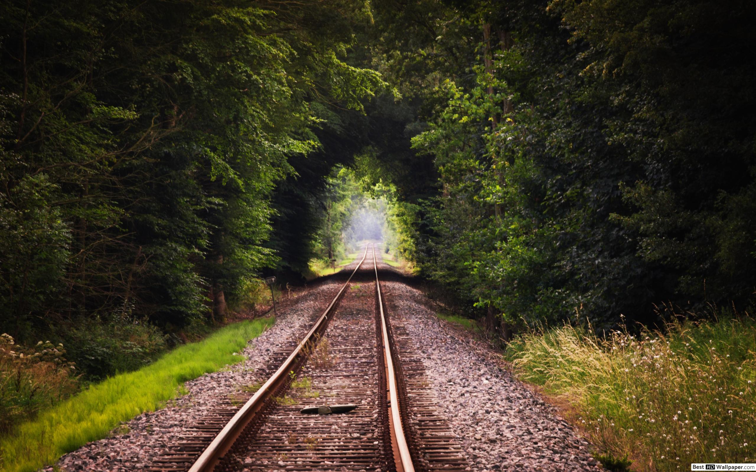 Train Tracks 4k - HD Wallpaper 