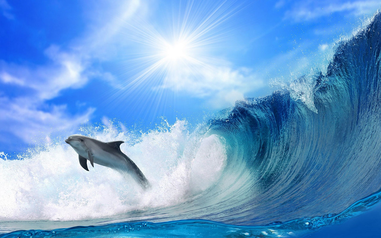 Dolphin, Sea, And Waves Image - Dolphins Wallpaper Hd - HD Wallpaper 