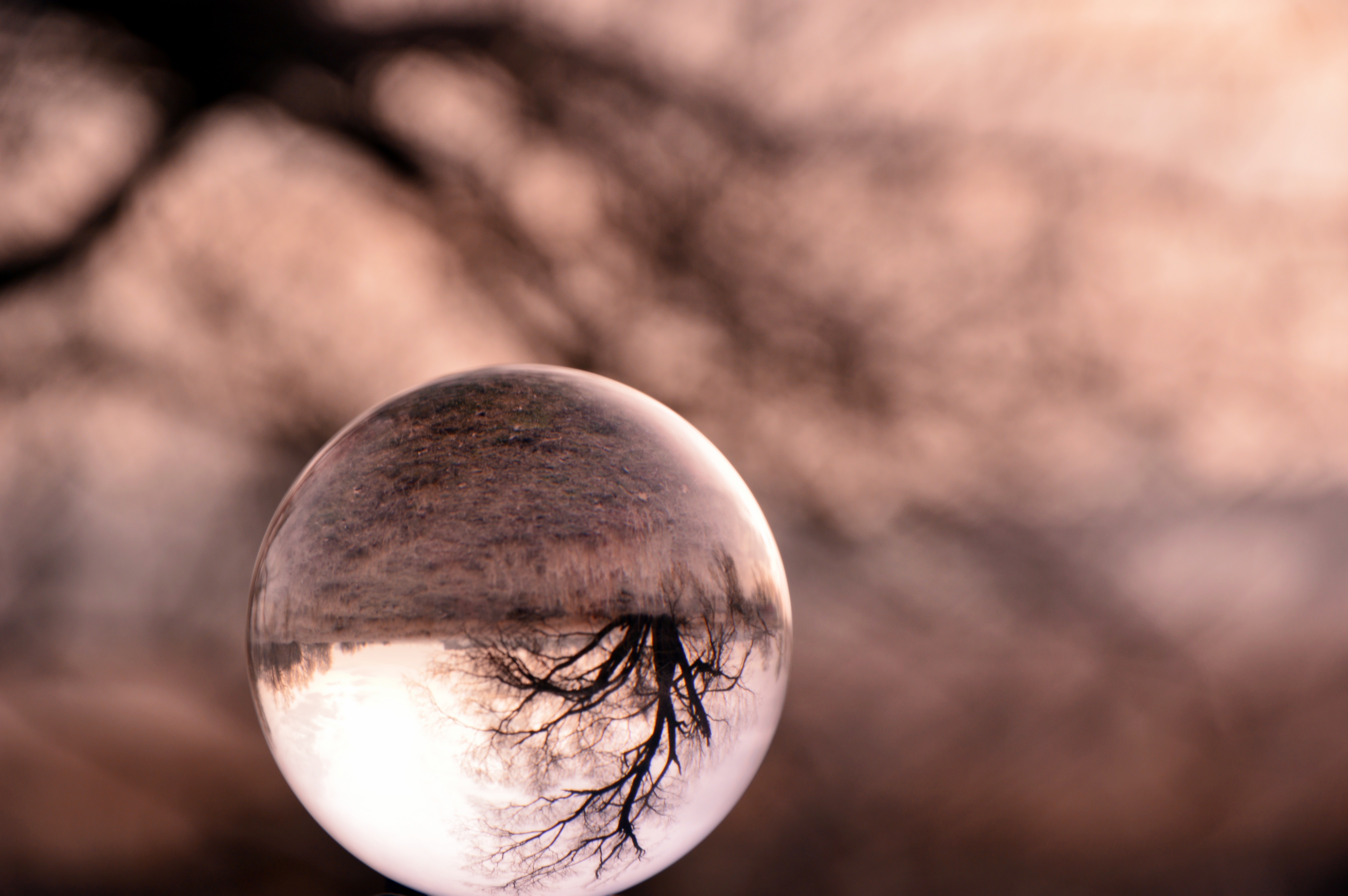 Still Life Con Sferetta Vetro - HD Wallpaper 