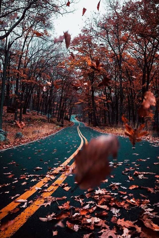 Photography Fall - HD Wallpaper 