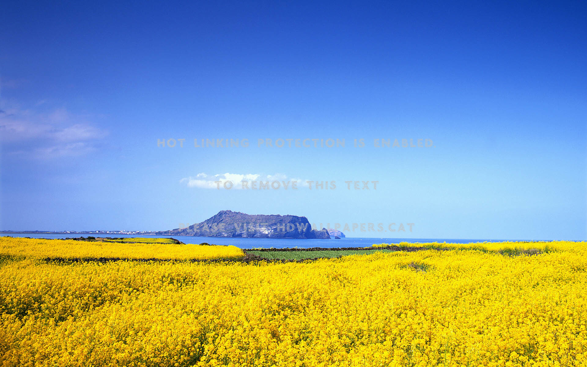 Window 8 Desktop Nexus Best 10 Wall Window7 - HD Wallpaper 
