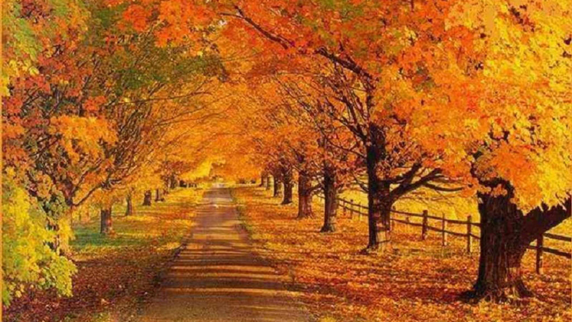 Landscape Fall Wallpaper Mobile - Fall Scenes - HD Wallpaper 