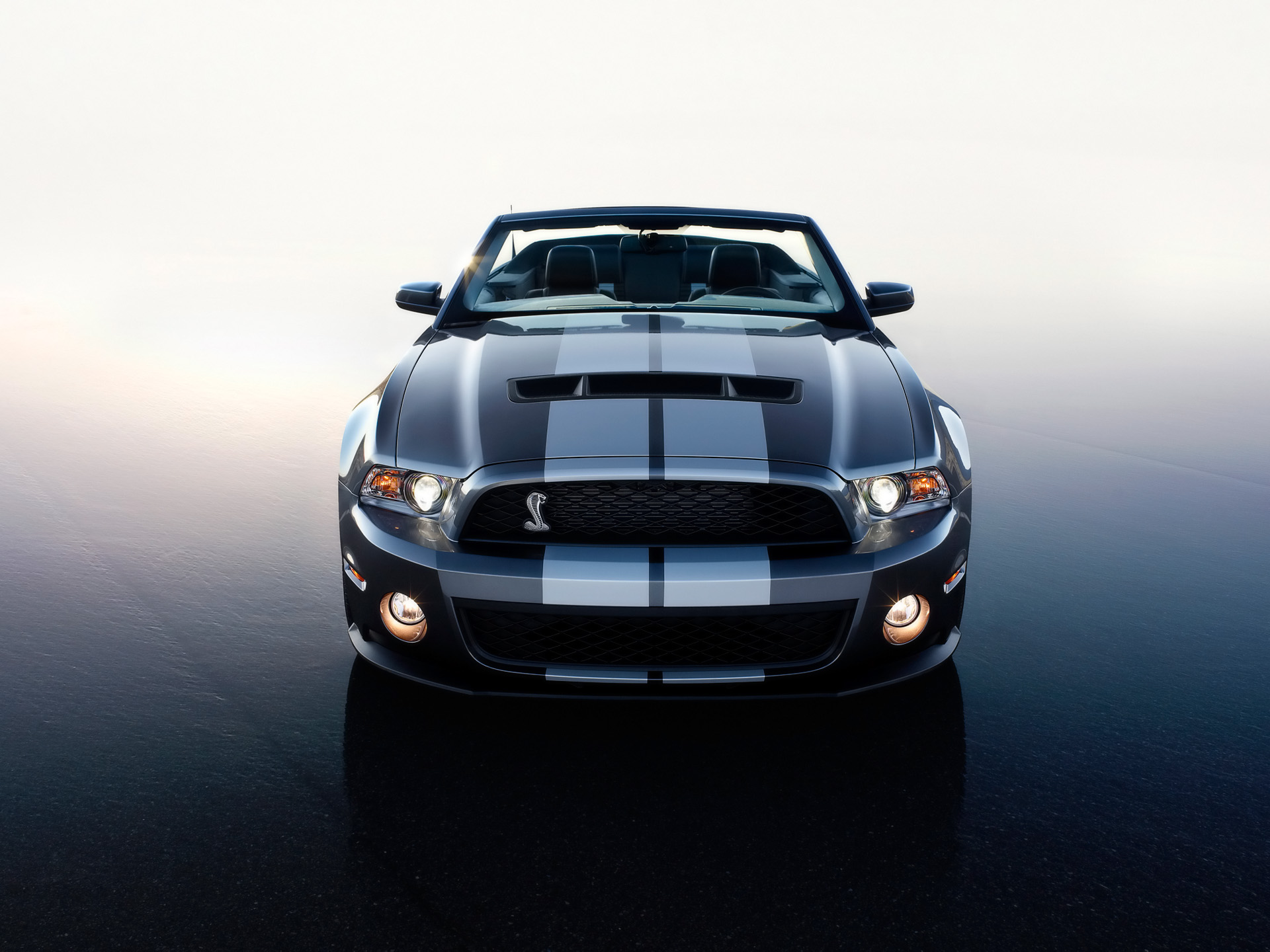 Ford Mustang Gt500 Iphone X Wallpaper Hd - HD Wallpaper 