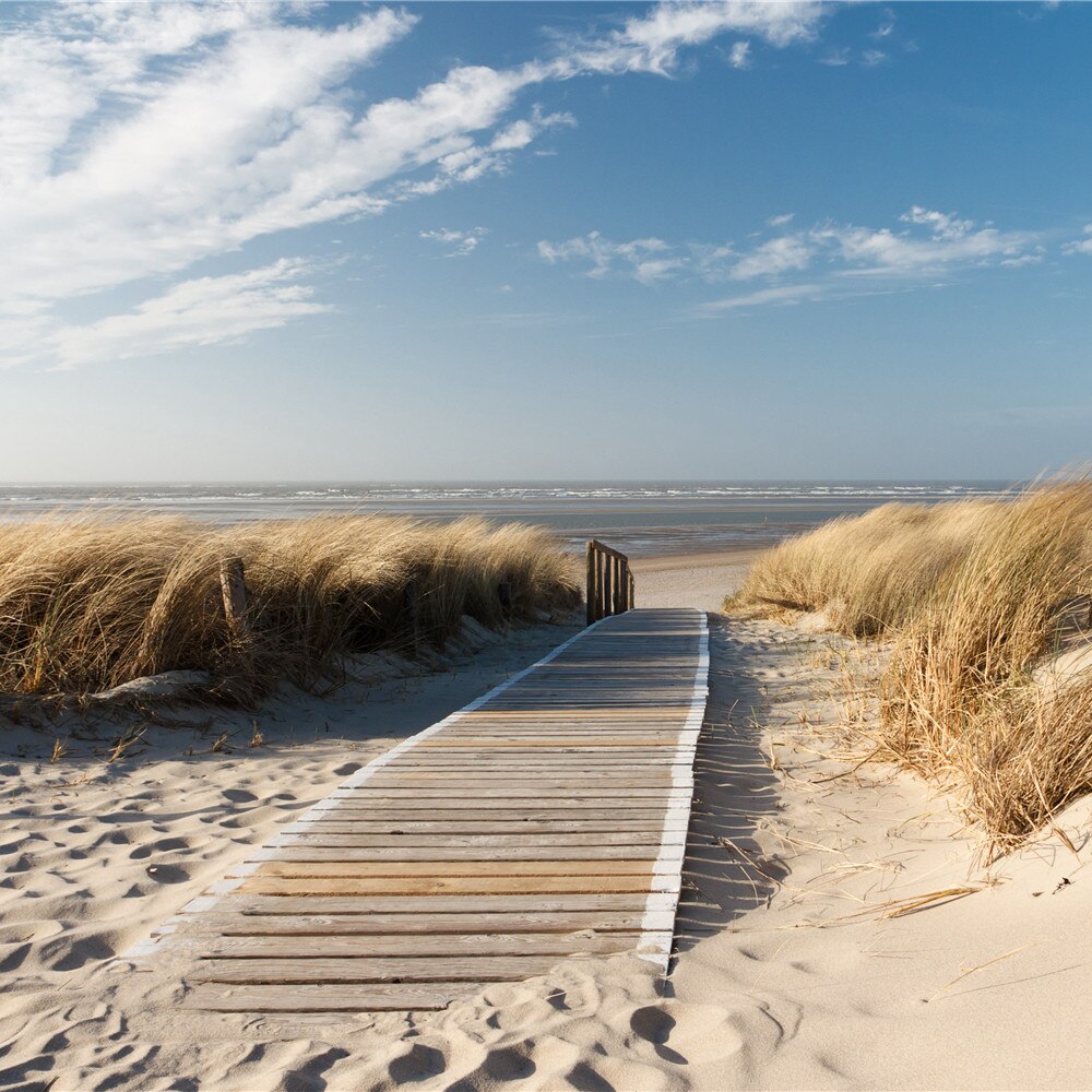 Walkway Beach - HD Wallpaper 