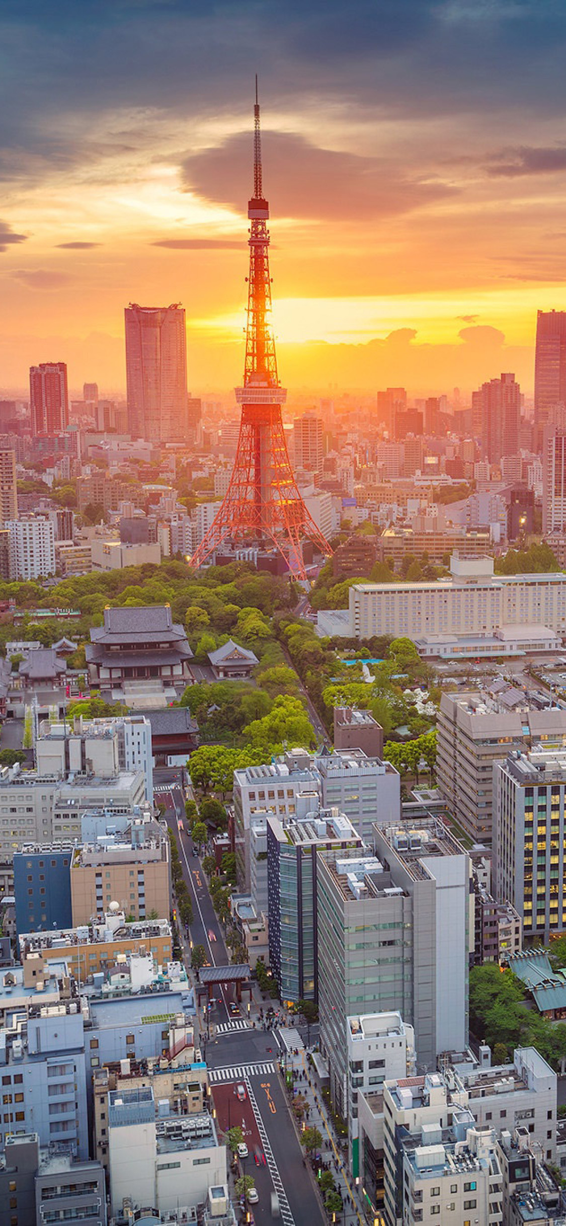 Tokyo Tower - HD Wallpaper 