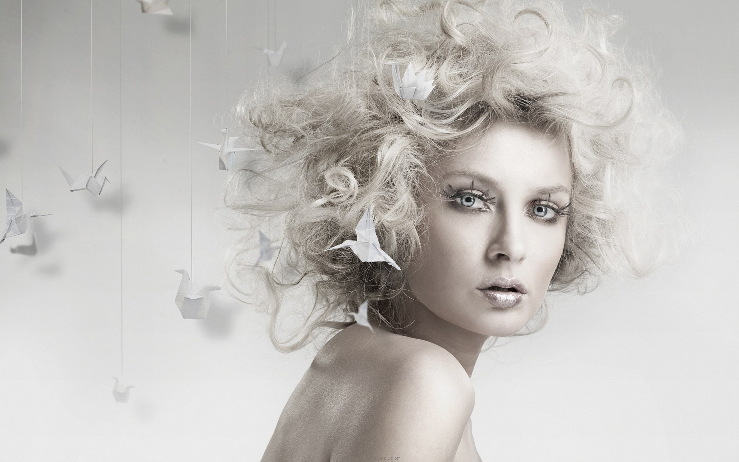 Wallpaper 2560x1600 Wallpaper Teahub Io Wallpaper 2560x1600 Wallpaper Teahub Io