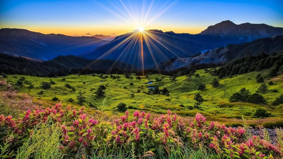 Mountains, Meadow, Sunrise, Flowers, Beautiful Scenery - Beautiful Scenery  Of Sunrise - 970x545 Wallpaper 
