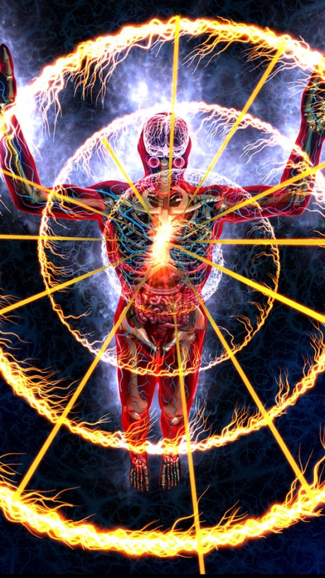 Tool Alex Gray Lateralus - HD Wallpaper 