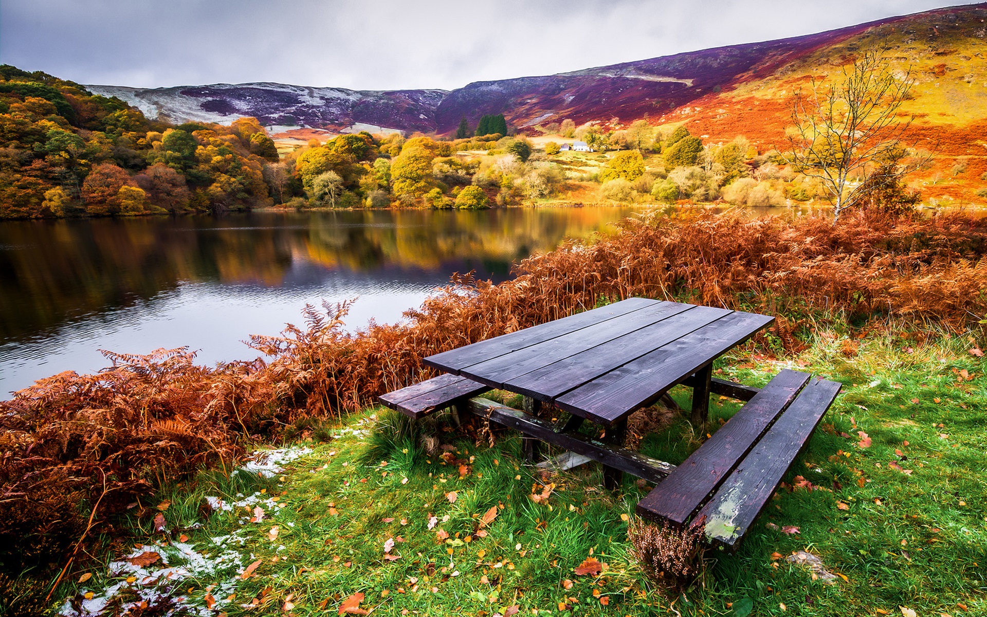 Wallpaper Beautiful Landscape, Autumn, River, Trees, - Bank Manzara Resimleri Sonbahar - HD Wallpaper 