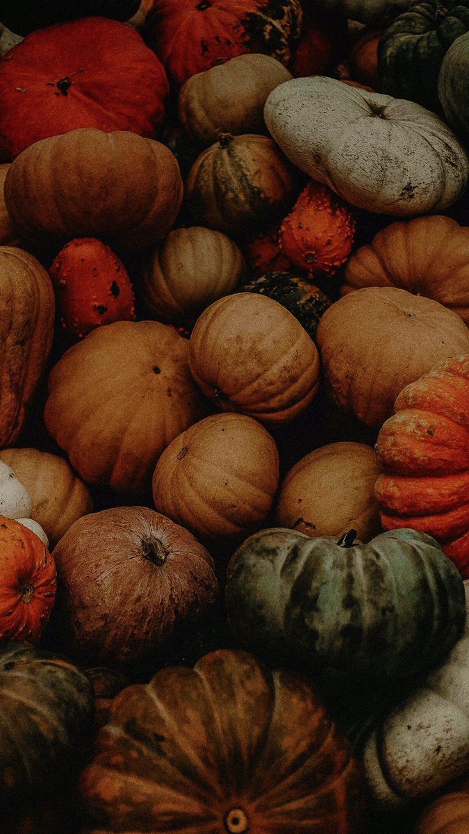 Instagram Story Pumpkin - HD Wallpaper 
