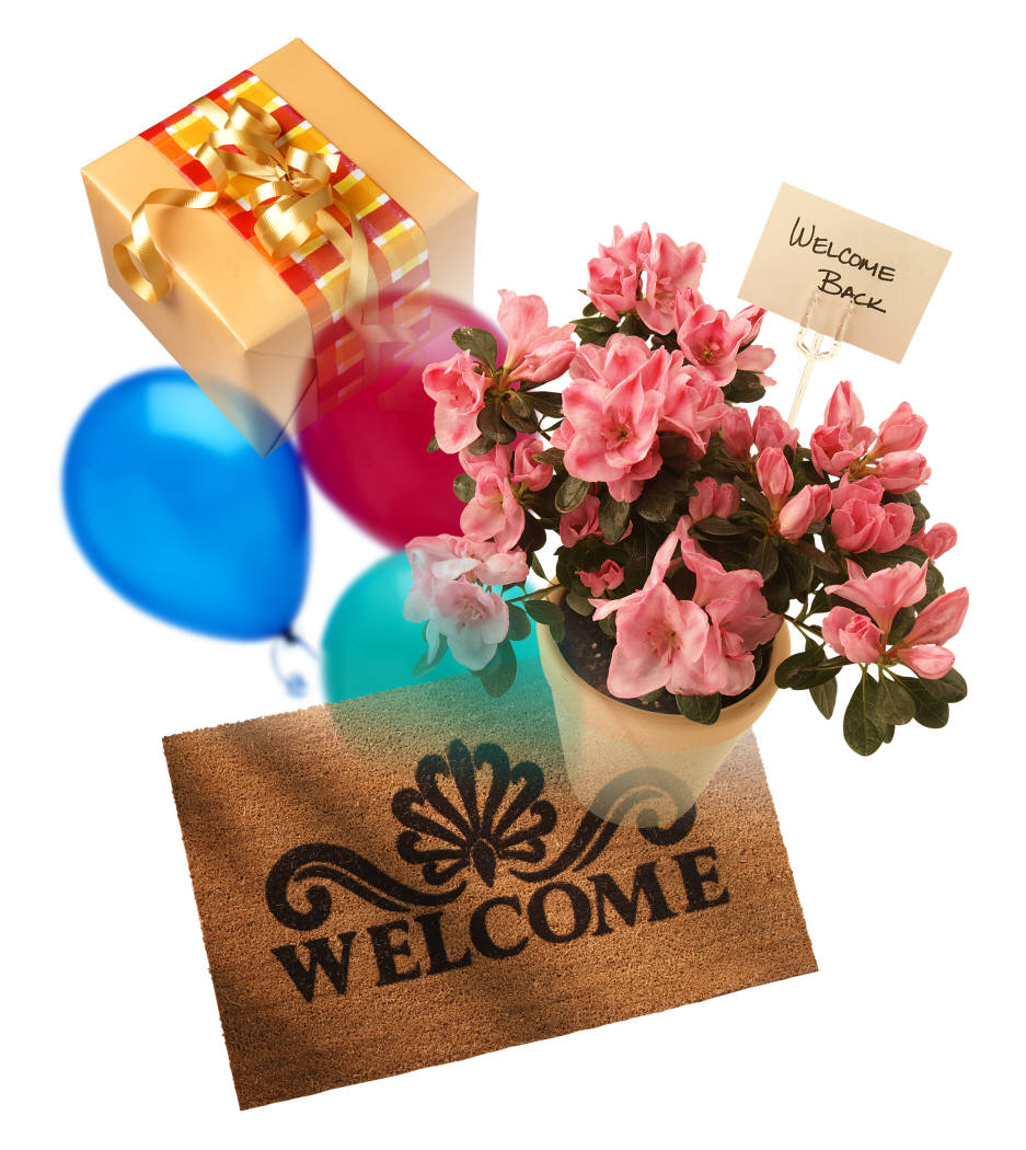 Welcome Back, Frances - Welcome Back - HD Wallpaper 