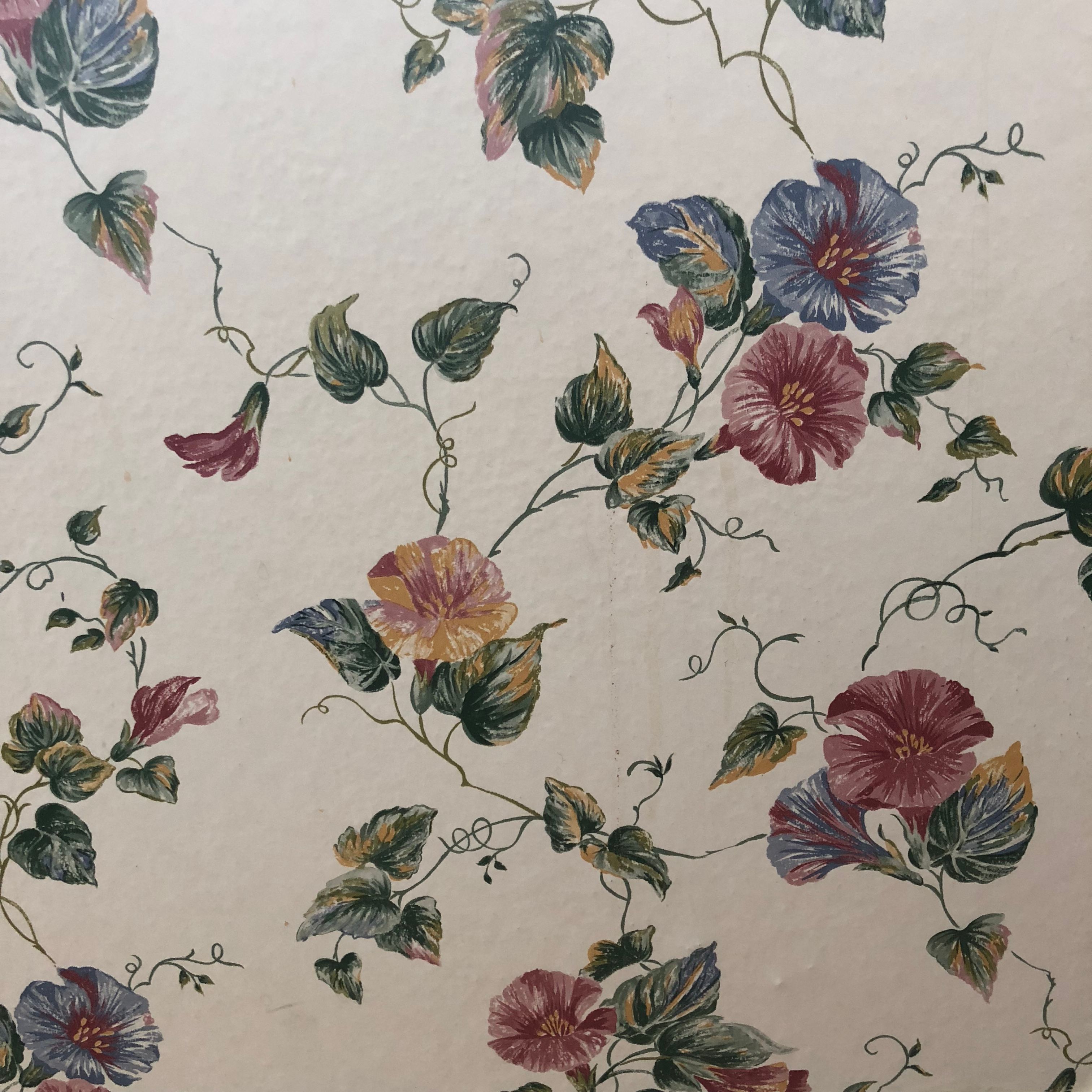 Img 9050 - Garden Roses - HD Wallpaper 