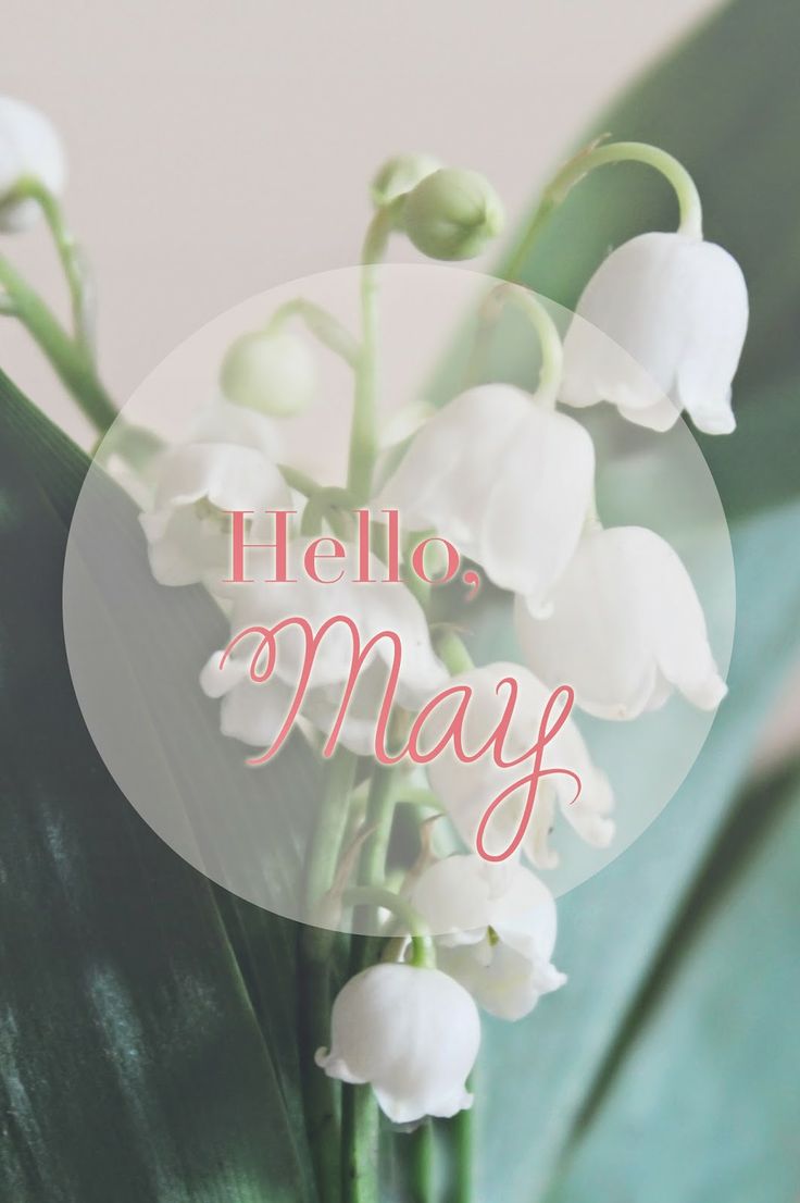 Welcome May Quotes Pictures - Goodbye April Hello May - HD Wallpaper 