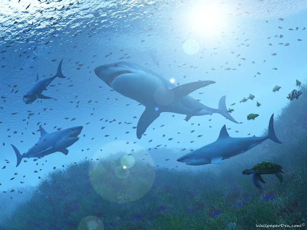 Widescreen 3d Nature, By Andromache Copperwaite - 3d Nature - HD Wallpaper 