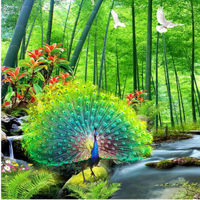 Nature Images With Peacock - 800x800 Wallpaper 