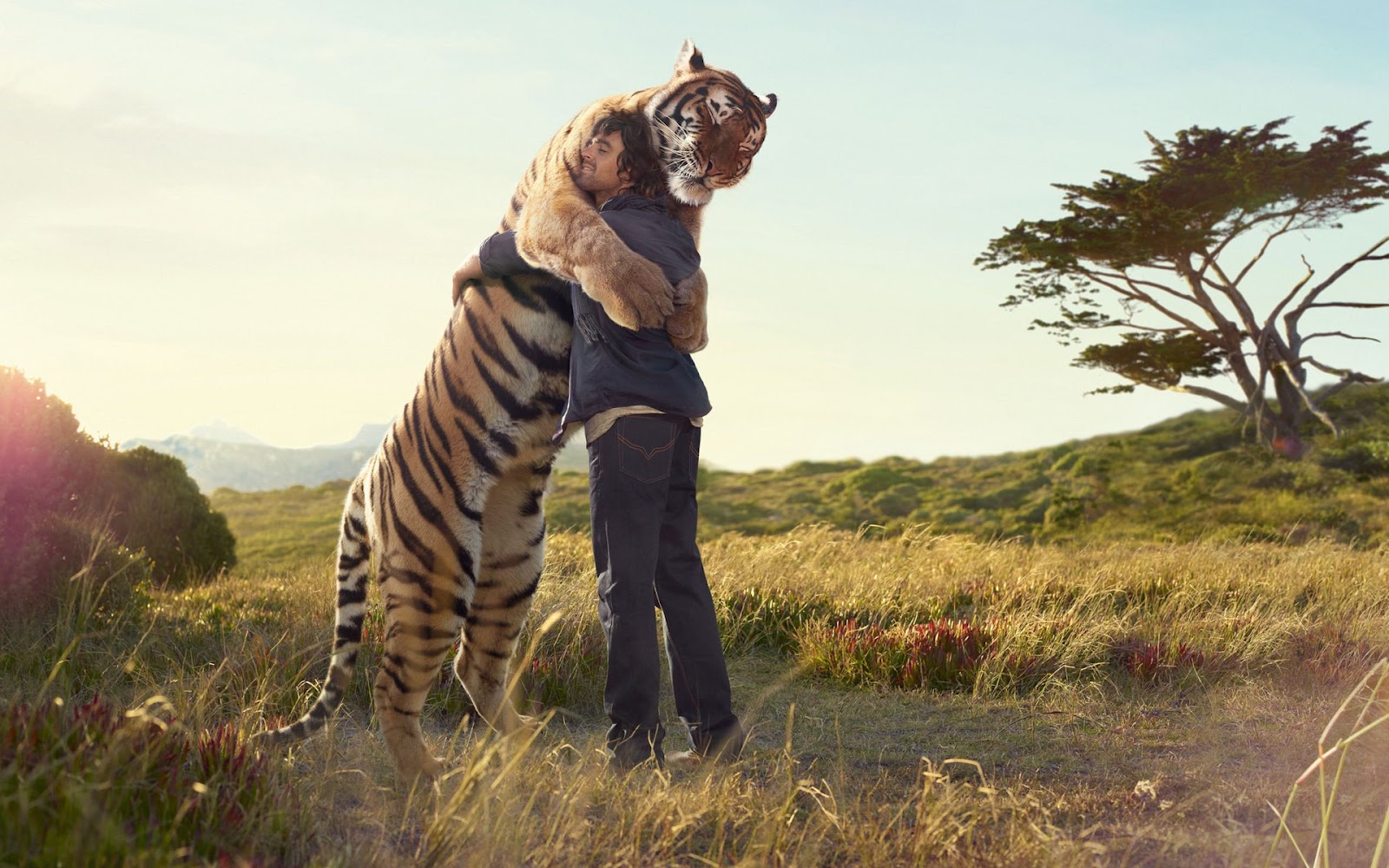 Man Hugging Huge Tiger Hd Wallpaper - Man Hugging Tiger - HD Wallpaper 