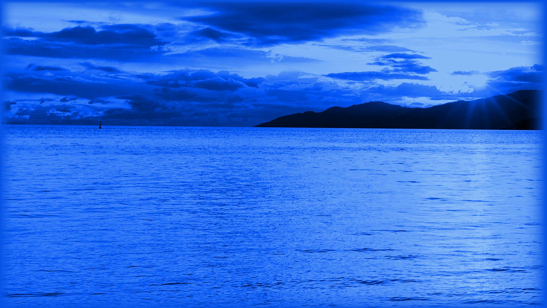 Beautiful Big Green Tree Hd Wallpaper Hd Wallpapers - Large Background - HD Wallpaper 