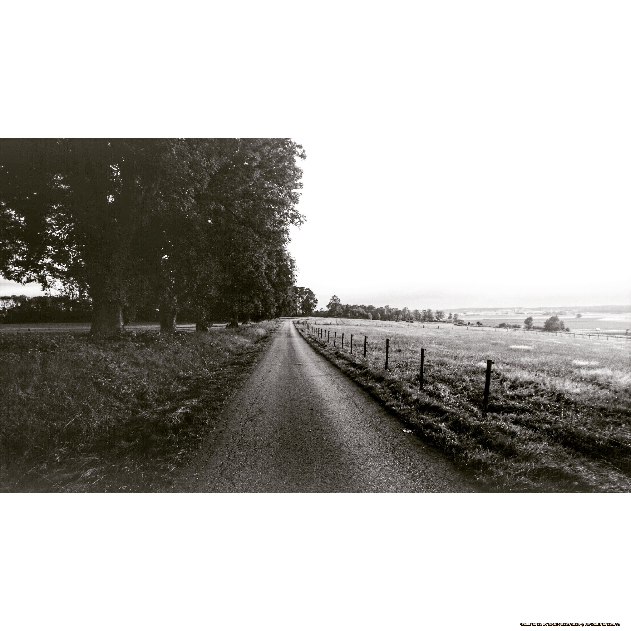 Dirt Road - HD Wallpaper 