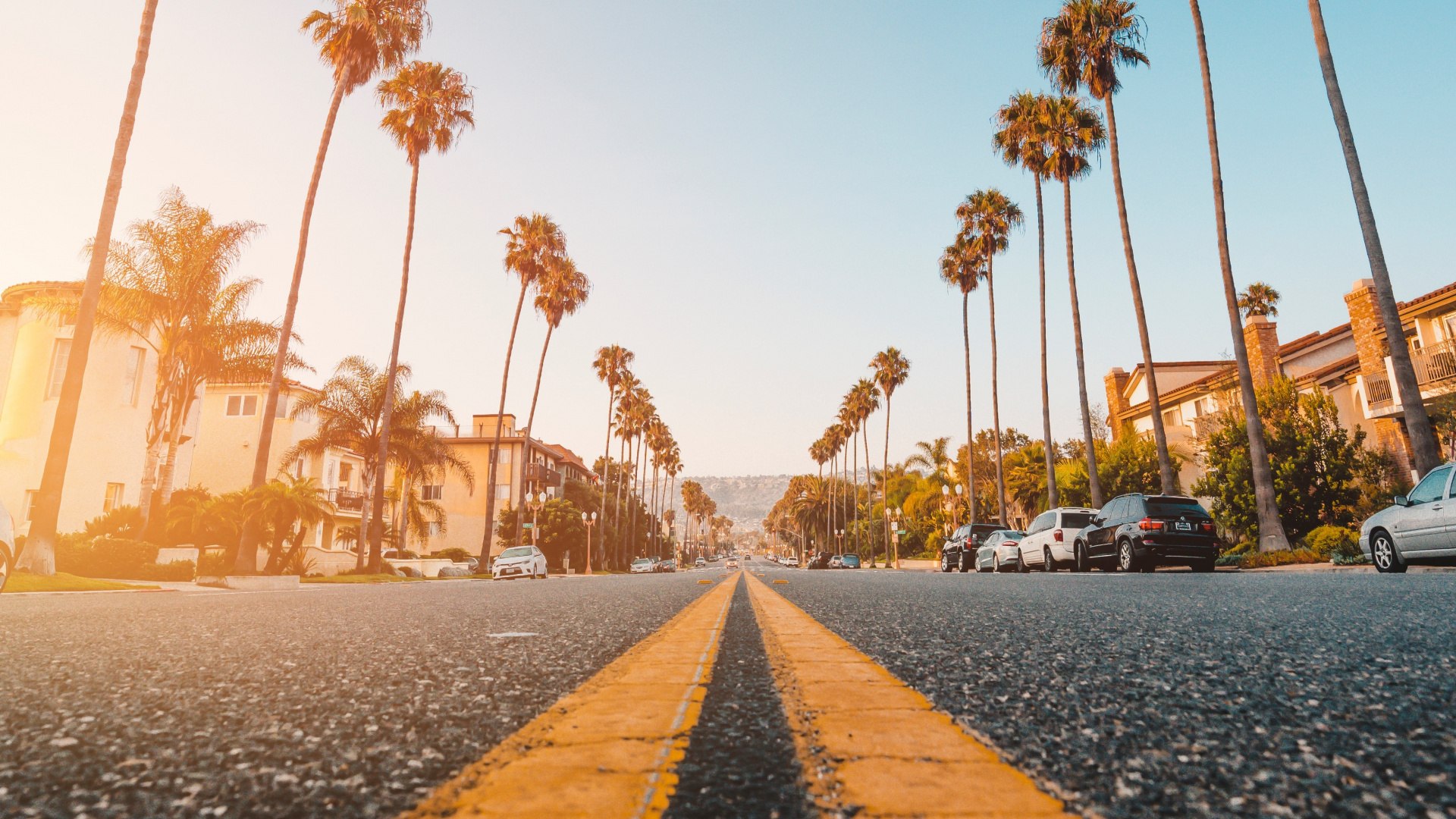 Palm Trees Wallpaper 4k 1920x1080 Wallpaper Teahub io palm-trees-wallpaper-4k-1920x1080-wallpaper-teahub-io
