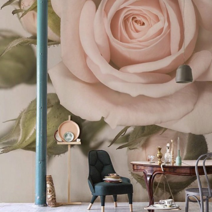 Beautiful Light Pink Roses - HD Wallpaper 