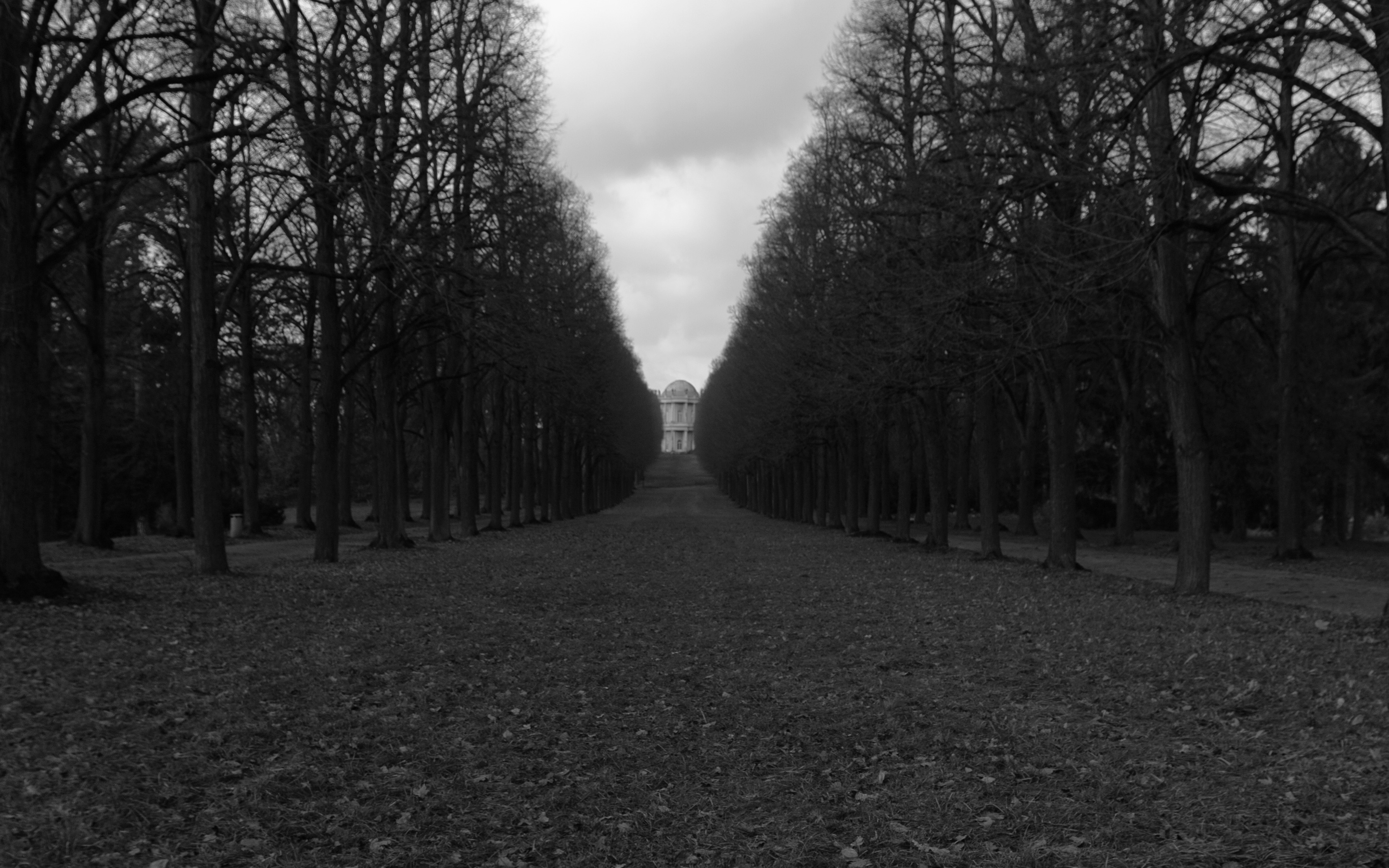 Dark Road Wallpaper 4k - HD Wallpaper 