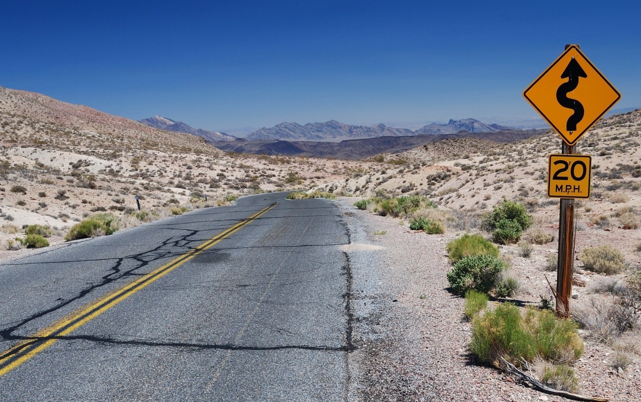 Desert Plants Road & Sign Wallpapers - Pak Truck Driver 2 - HD Wallpaper 