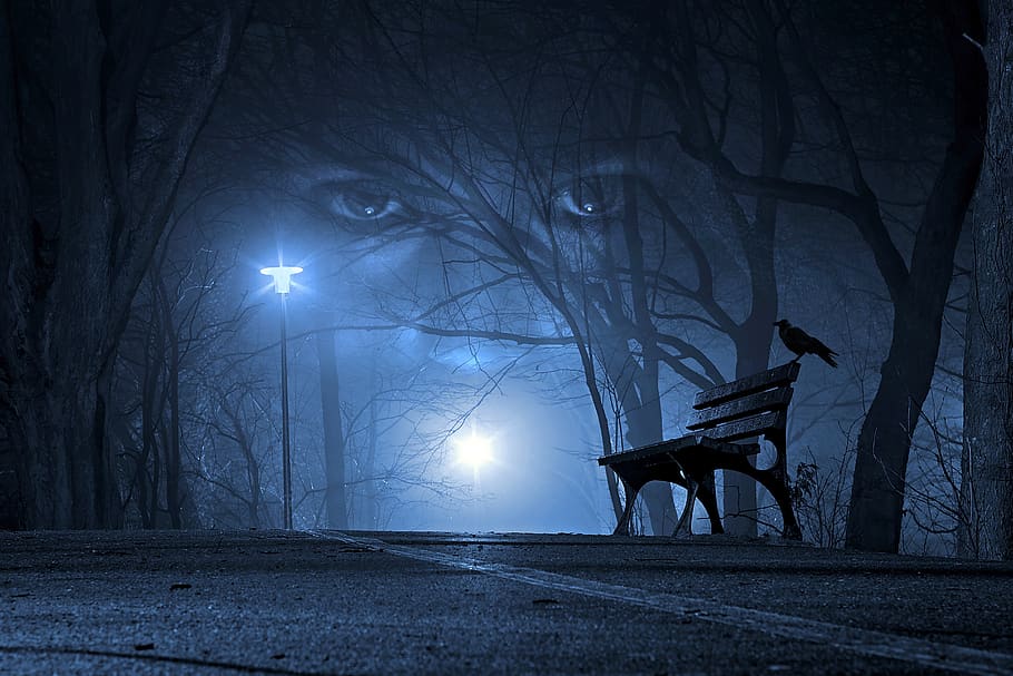 Eyes, Night, Road, Woman, Crow, Forest, Mystic, Gothic, - Park At Night Background - HD Wallpaper 