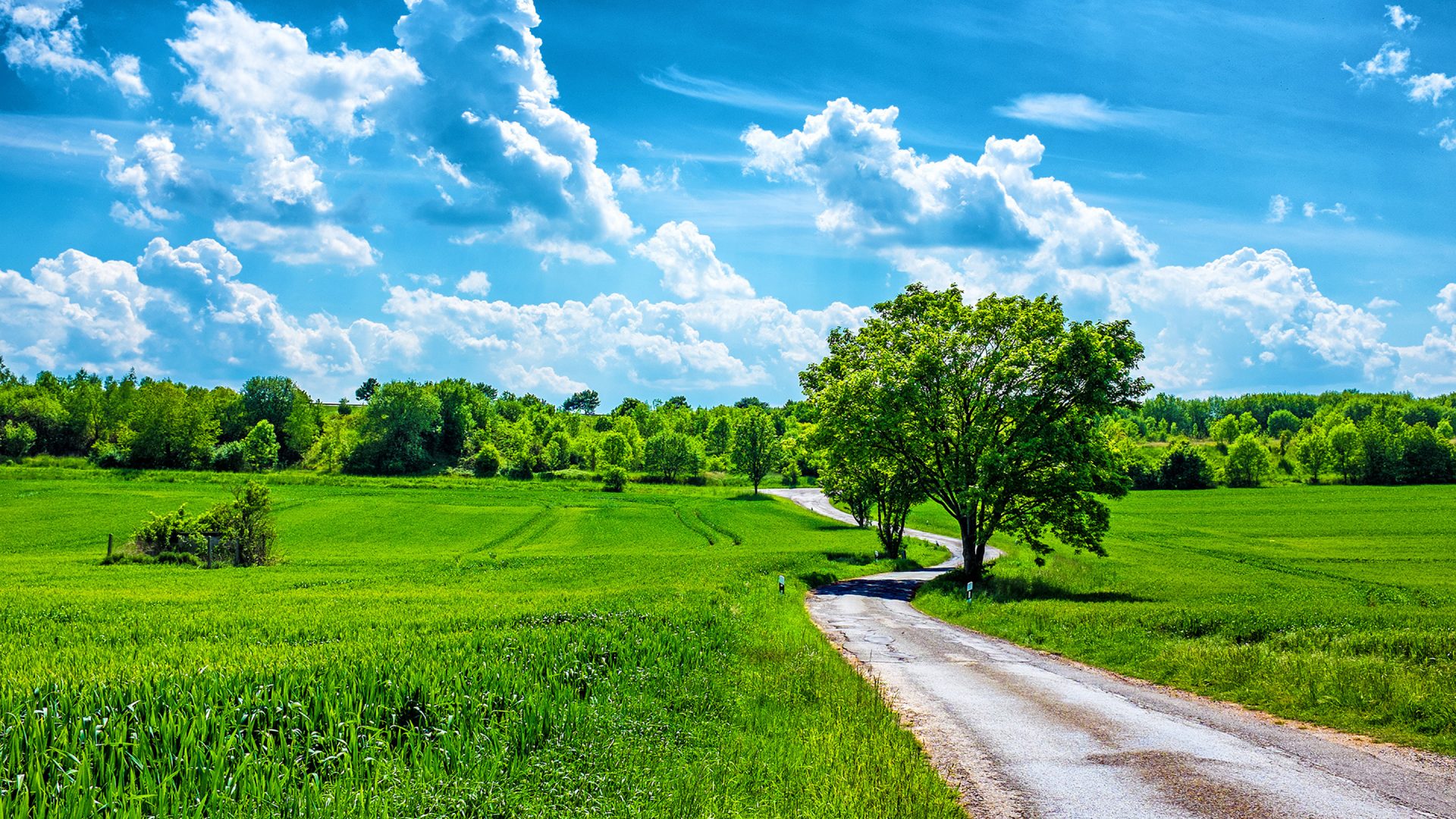 Bourbonnais Counselor - HD Wallpaper 