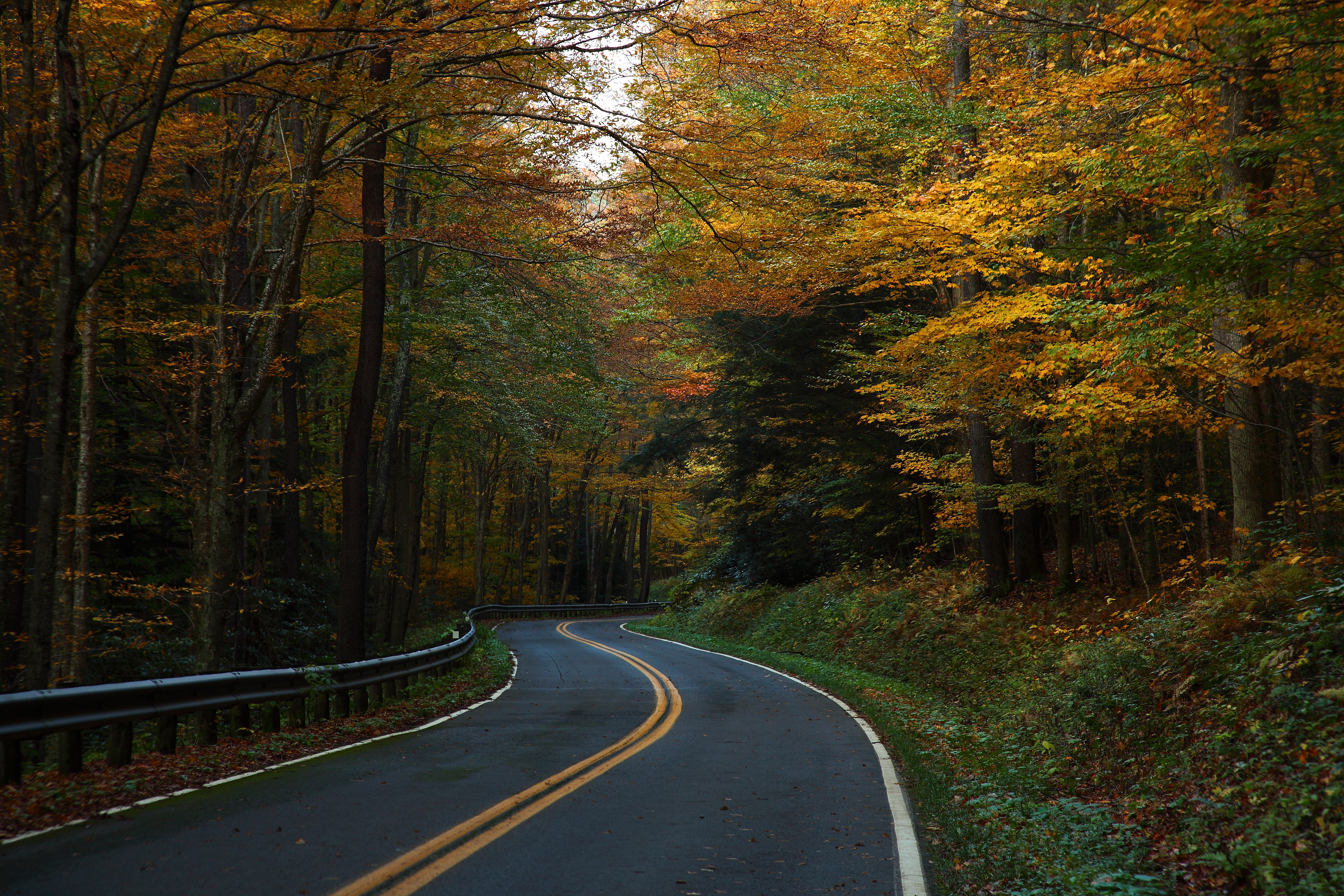 West Virginia Winding Autumn Trees Country Road Landscape Of West Virginia 5616x3744 Wallpaper Teahub Io