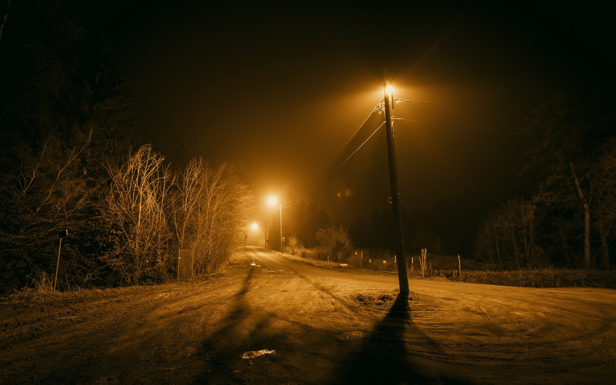 Wallpaper Night, Road, Trees, Lights - 2560 X 1600 Noche Con Arboles - HD Wallpaper 