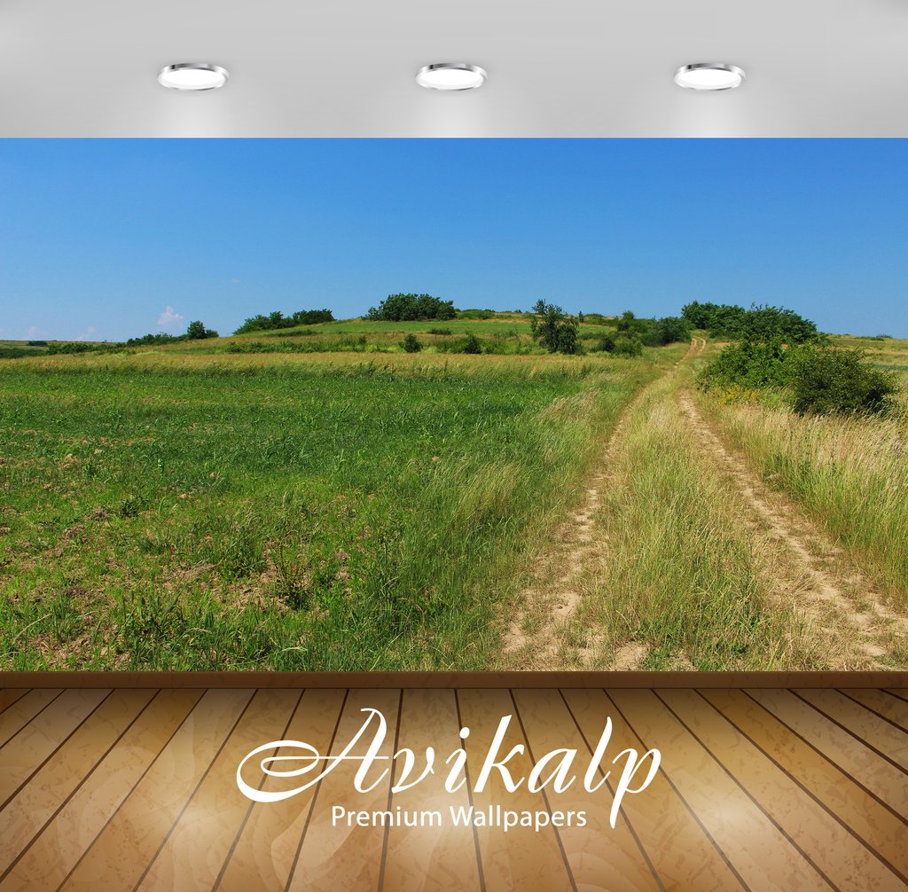 Fruit 3d Wallpaper For Kitchen - 1024x1006 Wallpaper - teahub.io