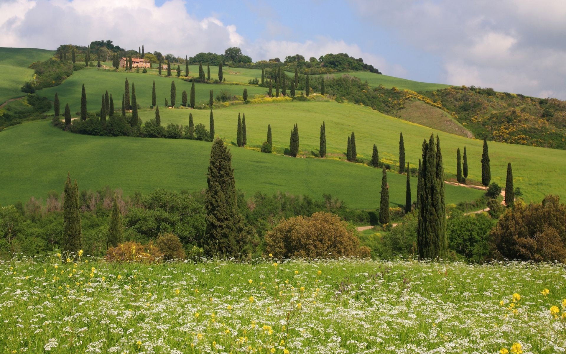 Country Road On The Hill Wallpaper - HD Wallpaper 