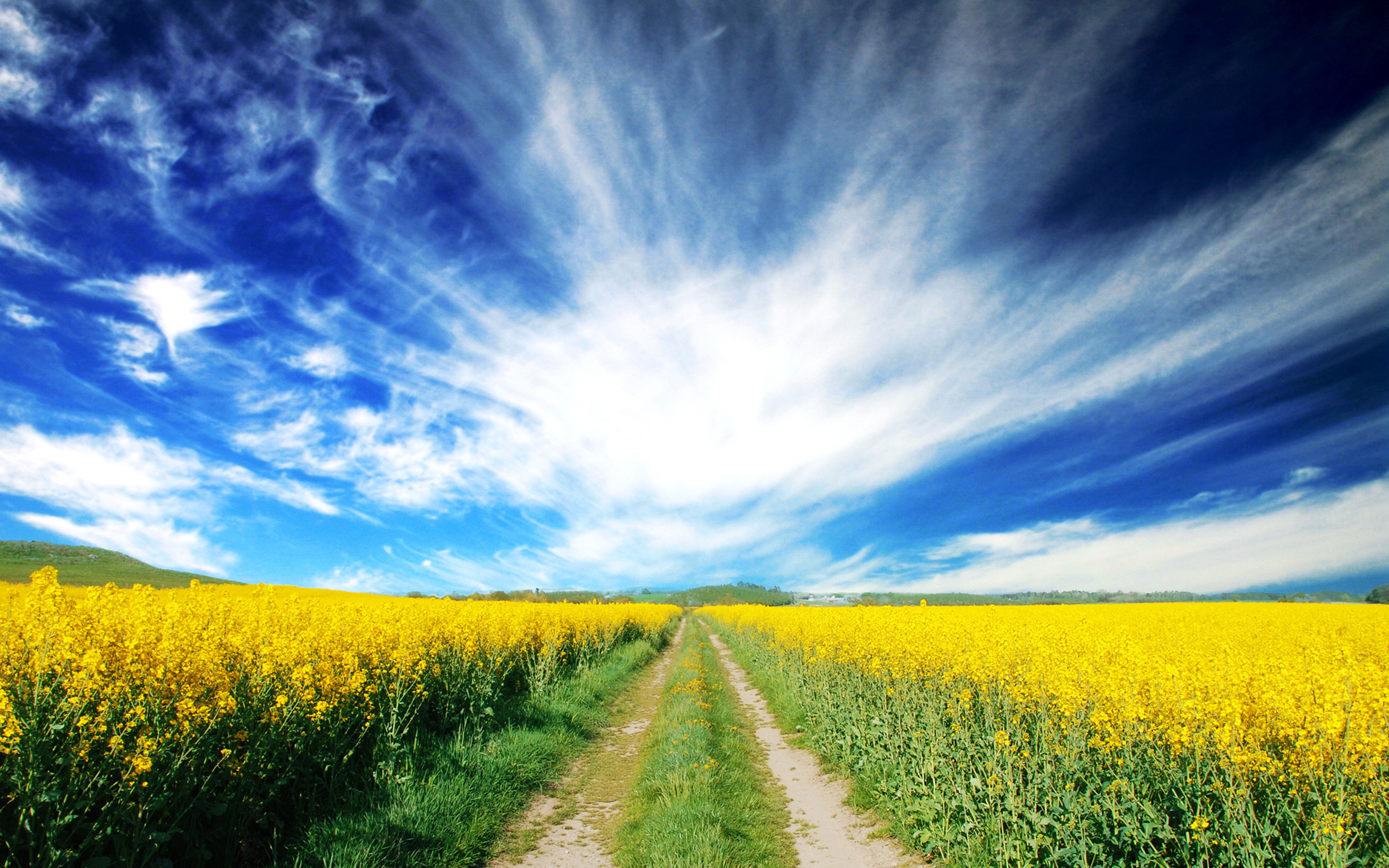 Country Road Wallpaper - HD Wallpaper 