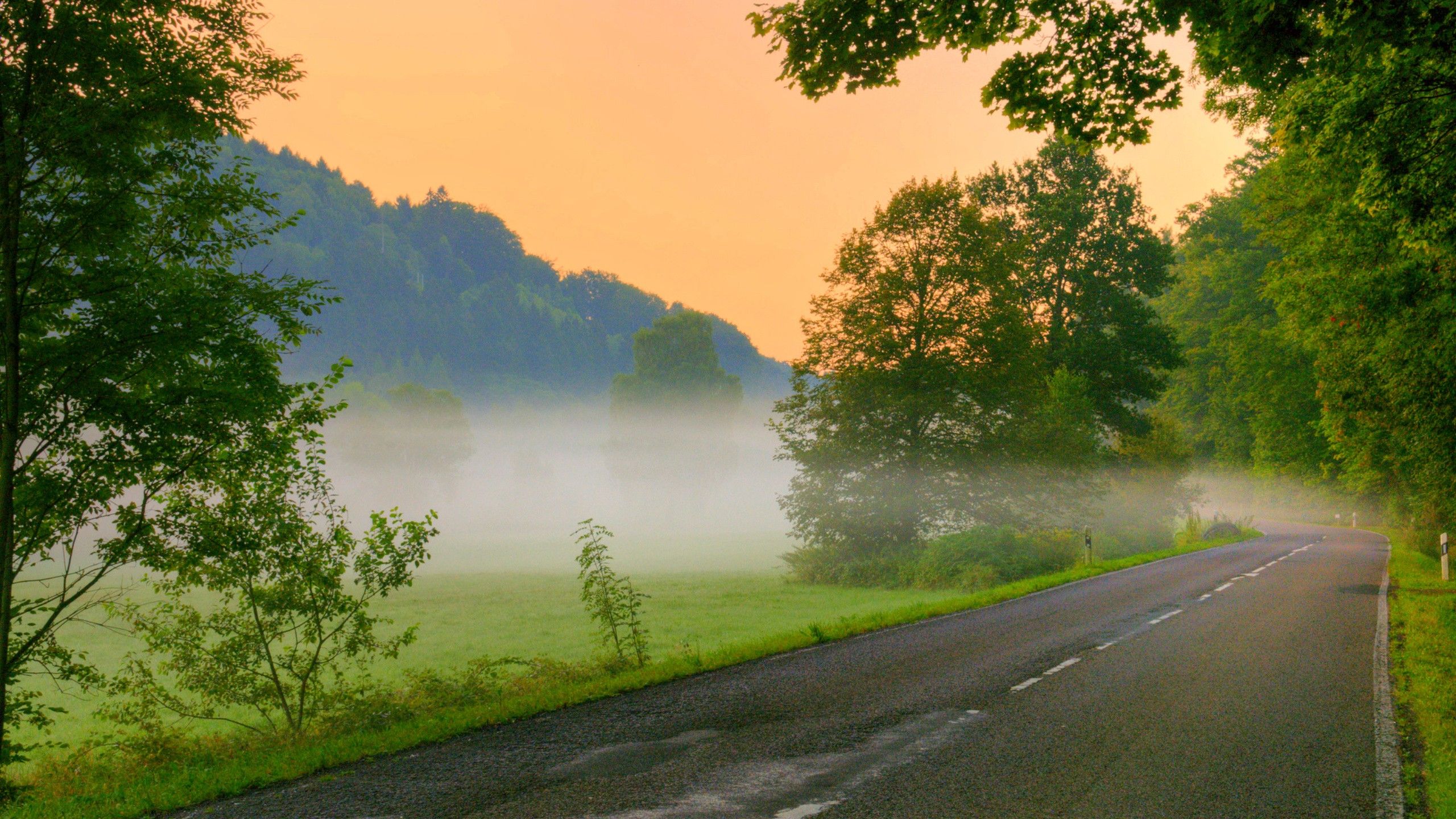 Morning Nature Image Hd - HD Wallpaper 