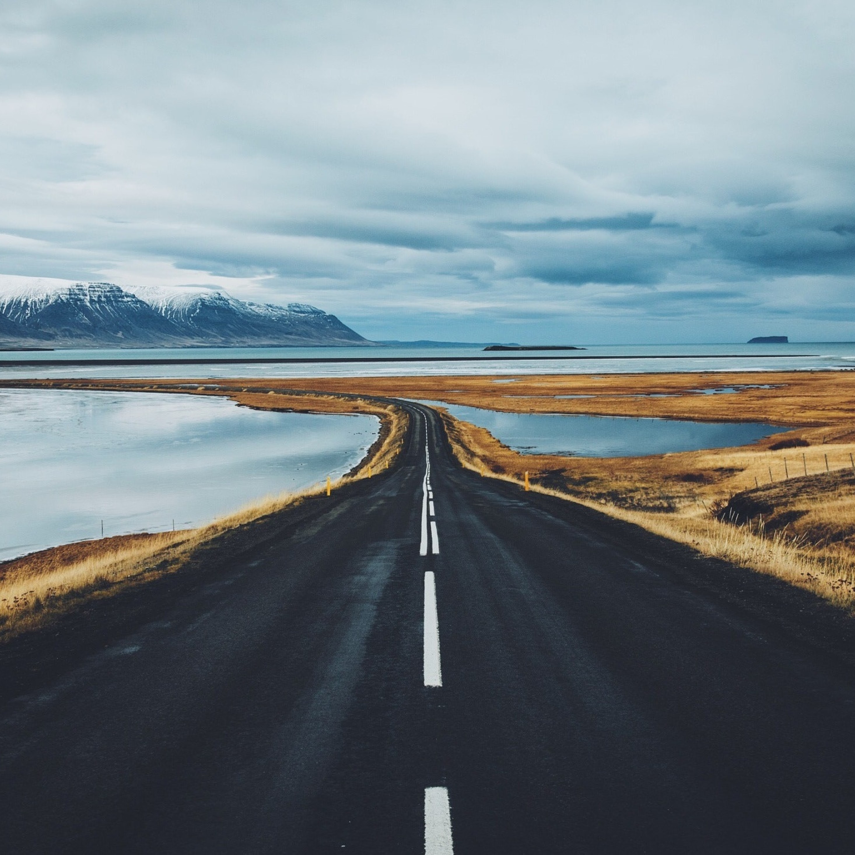 Wallpaper - HD Wallpaper 