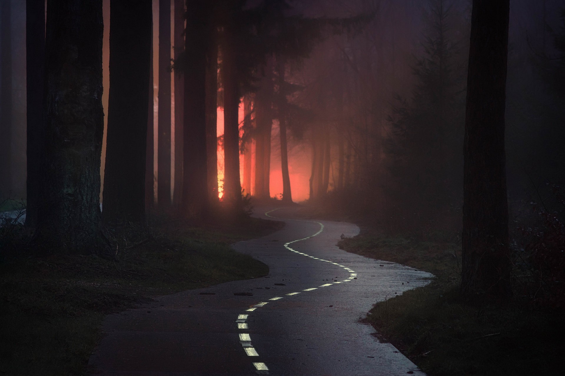Mist - HD Wallpaper 