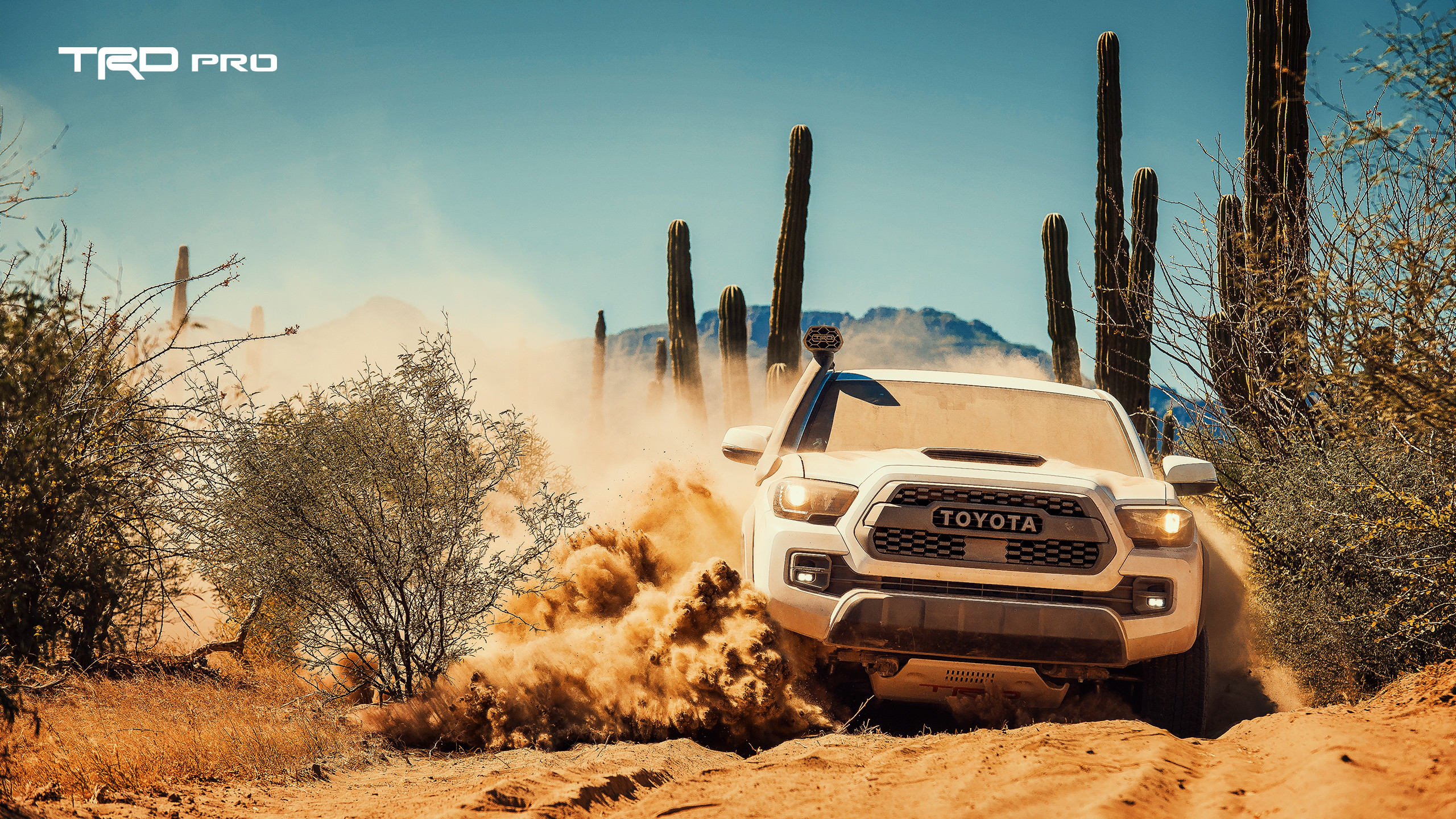 Wallpaper 3 
 Data Src Full Size Toyota Trd Wallpaper - 2019 Toyota Tacoma Trd Pro - HD Wallpaper 