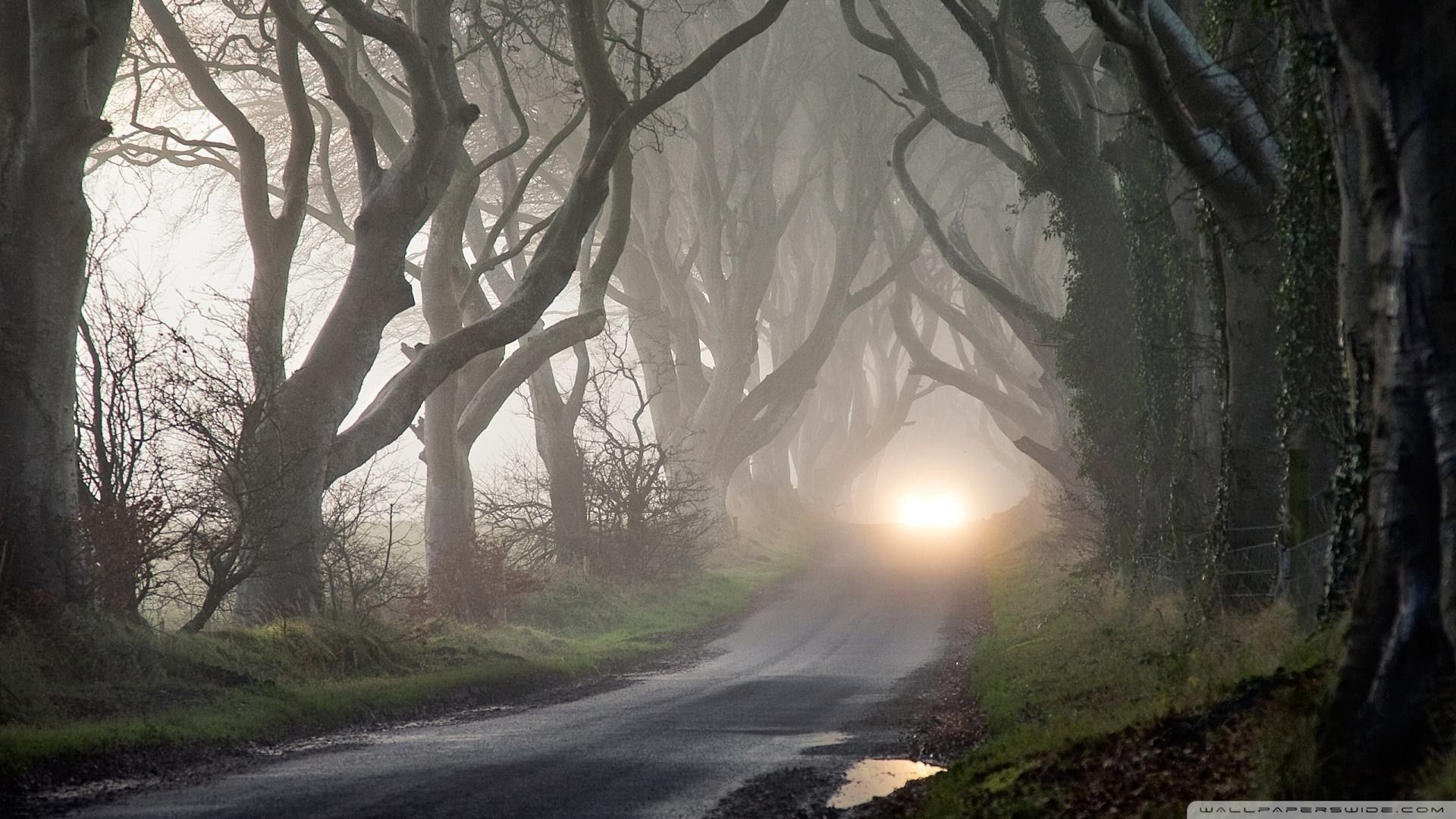 1920x1080, Wallpapers Backgrounds - Haunted Road Background - HD Wallpaper 