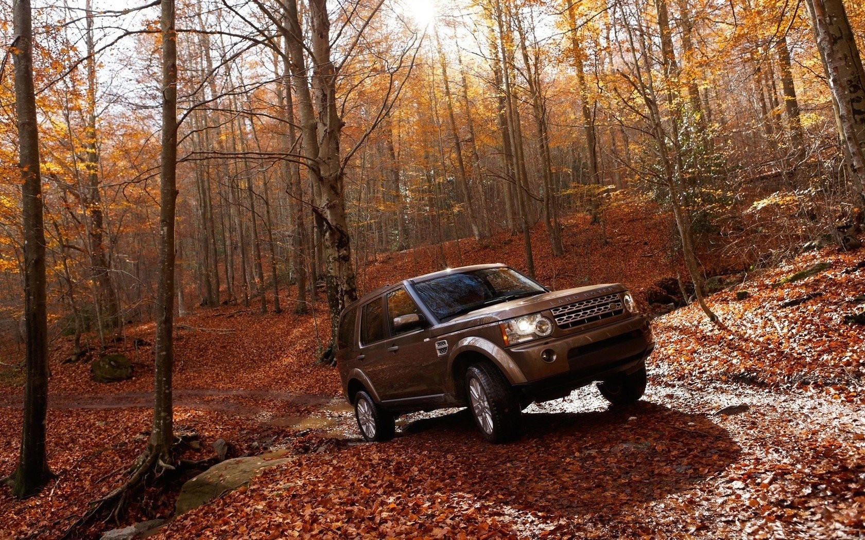 Range Rover In Forest - HD Wallpaper 