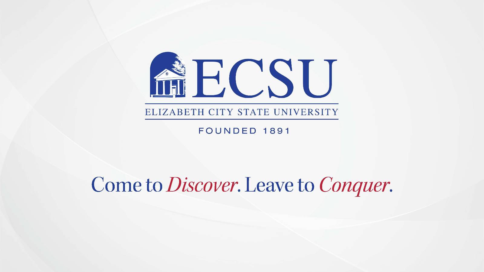 Whale And Dolphin Conservation Society - HD Wallpaper 