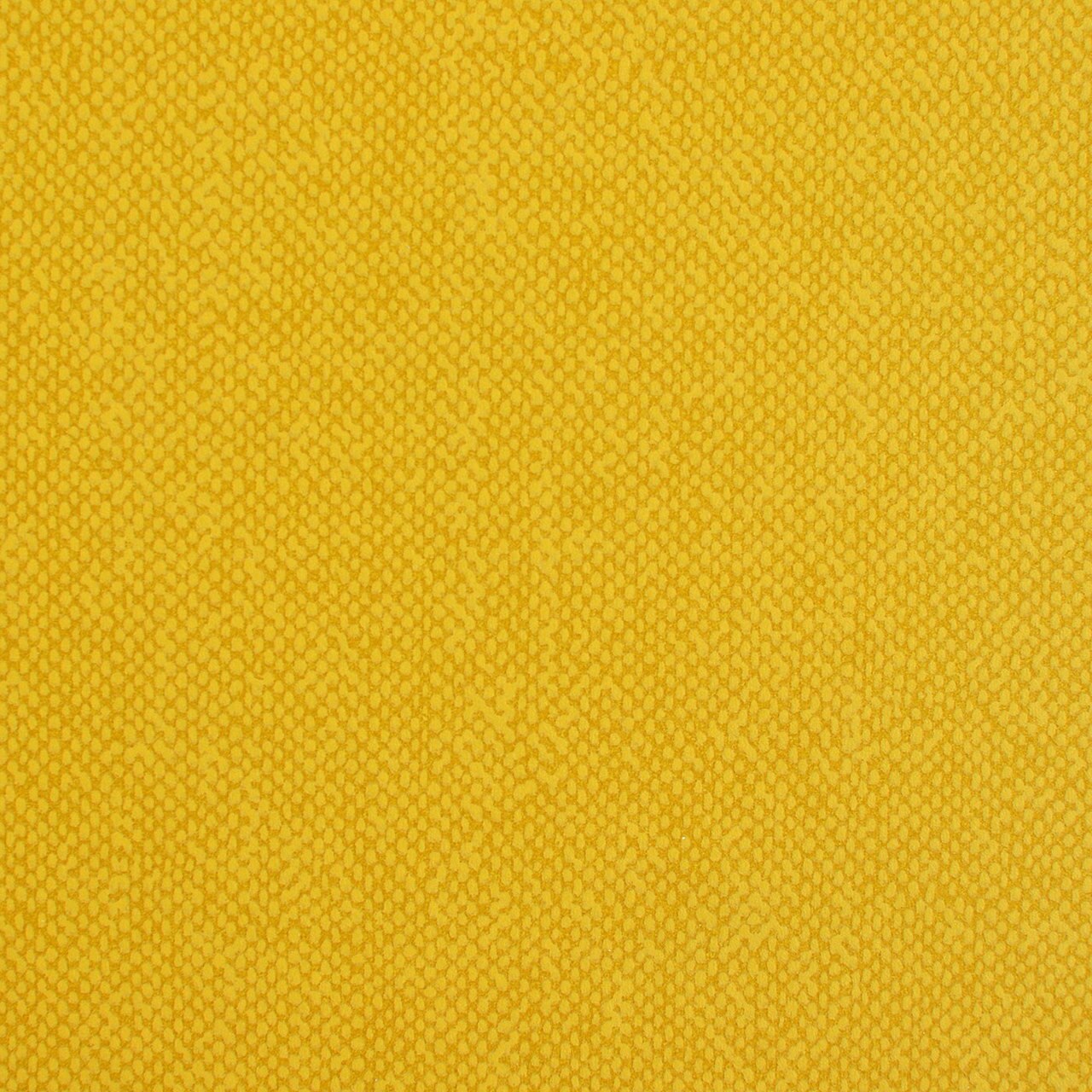 Colorfulness - HD Wallpaper 